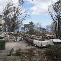 Hawaii Fires