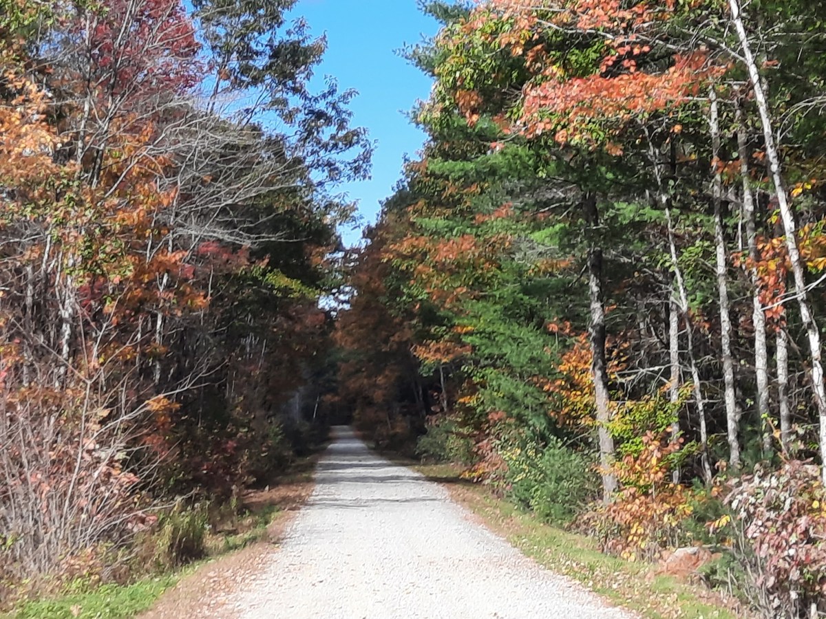 From Jay to Livermore Falls to Farmington, trails boost well-being